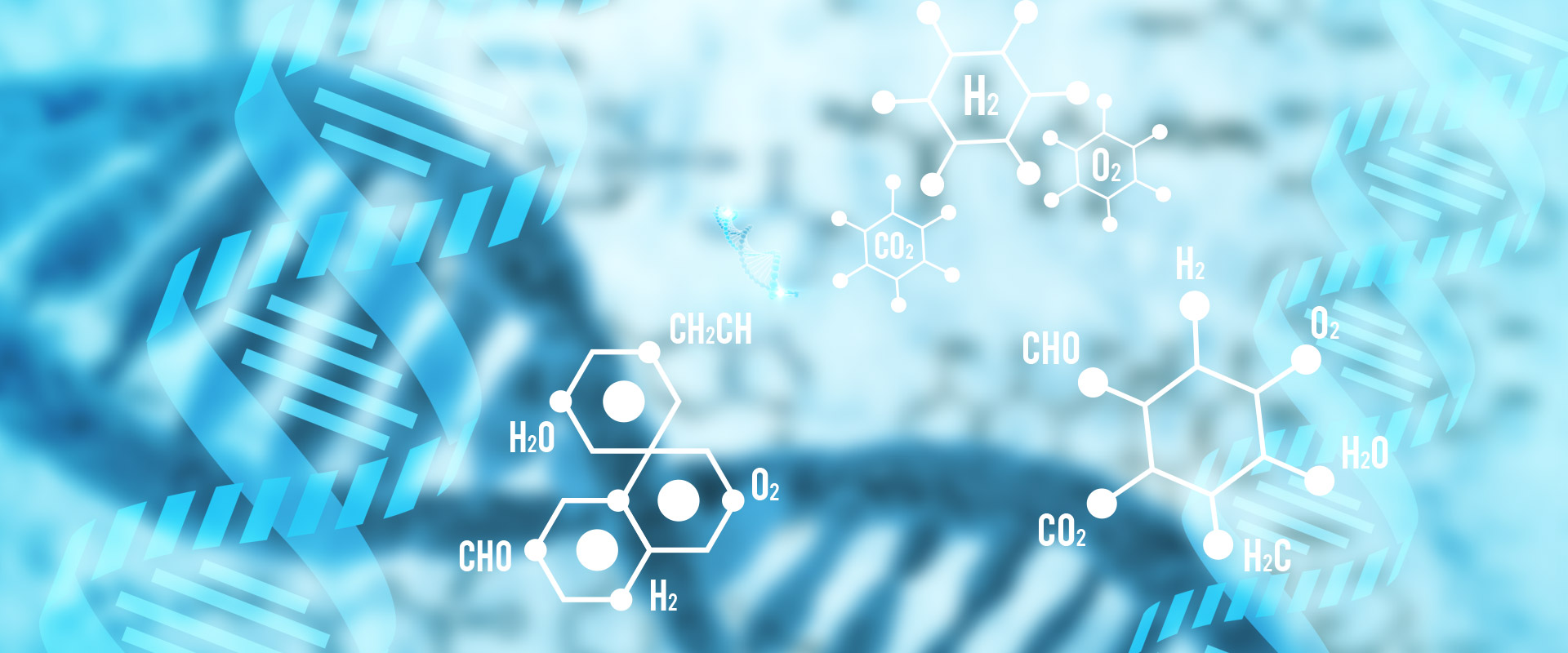 新品上市|高濃度T7 RNA 聚合酶及高產(chǎn)量T7 RNAi試劑盒